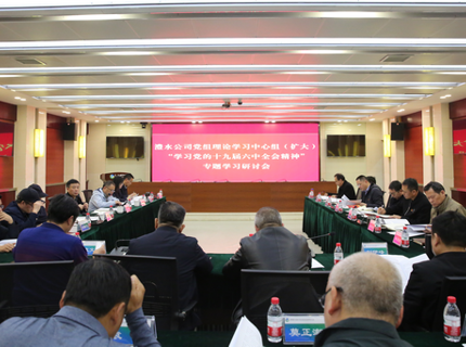 澧水公司黨組中心組（擴(kuò)大）專(zhuān)題學(xué)習(xí)黨的十九屆六中全會(huì)精神